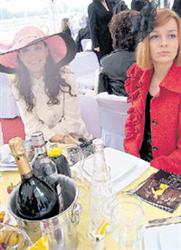 Лошадиная сила